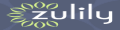 zulily