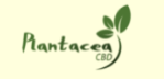 PlantaceaCBD