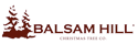 Balsam Hill