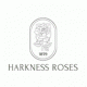 Harkness Roses
